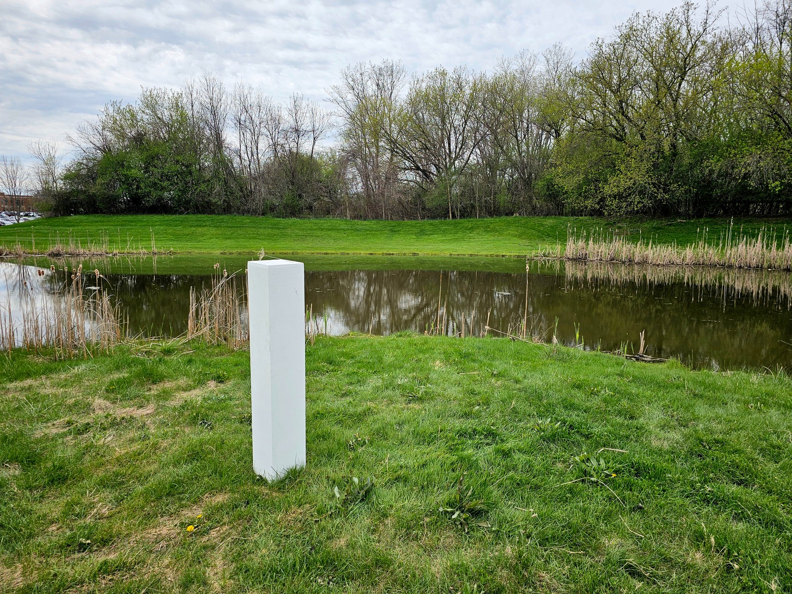 FitzGerald_FinalCrit_1